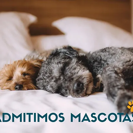 Familiar 3000 Διαμέρισμα Gandía